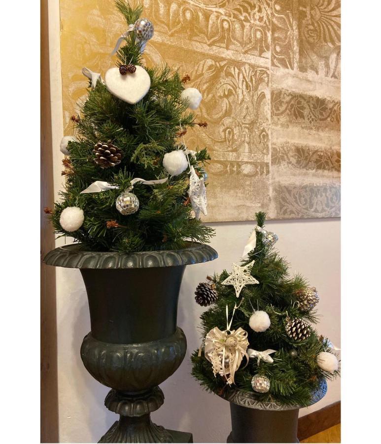 Albergo Garni Cavento Pinzolo Buitenkant foto
